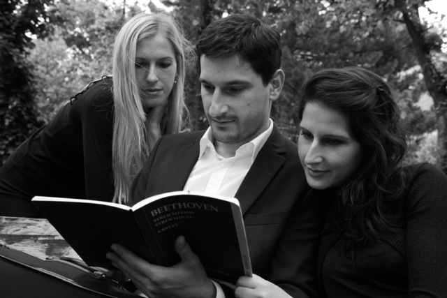 Das Aleksić Streichtrio Das Aleksić Streichtrio
